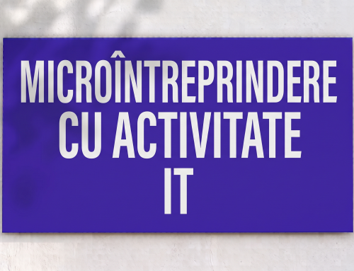 2025. Microintreprindere cu activitate IT